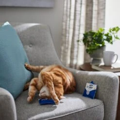 Frisco Father's Day Card Felt Cat Toy With Catnip, 2 Count 7 Frisco Father's Day Card Felt Cat Toy With Catnip, 2 Count -Frisco 327029 PT3. AC SS1800 V1648667305