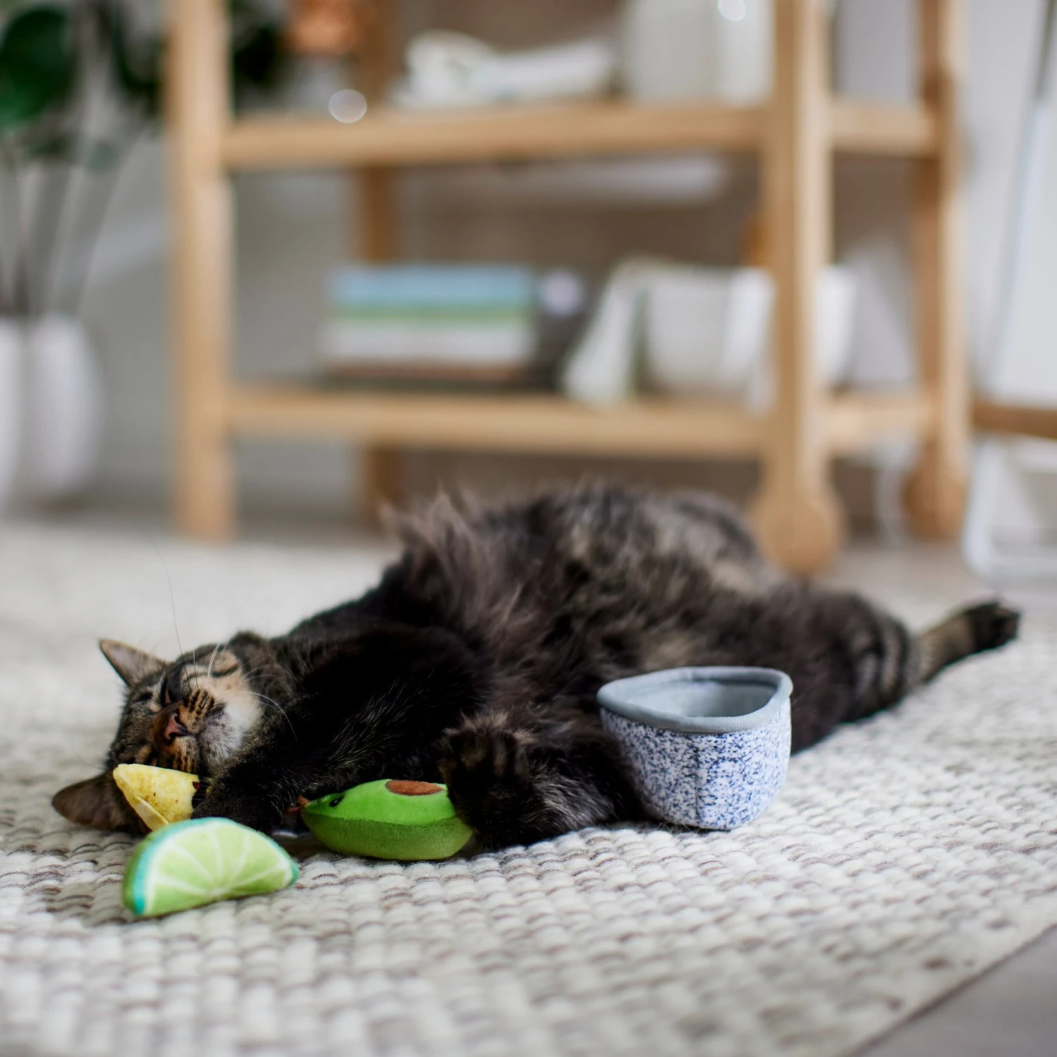 Frisco Guacamole Bowl Cat Toy With Catnip, Medium, 4 Count 4 Frisco Guacamole Bowl Cat Toy With Catnip, Medium, 4 Count - Image 4