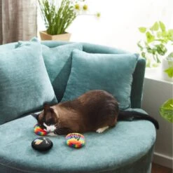 Frisco Pride Buttons Plush Cat Toy With Catnip, 3 Count 5 Frisco Pride Buttons Plush Cat Toy With Catnip, 3 Count -Frisco 331688 PT3. AC SS1800 V1647355746