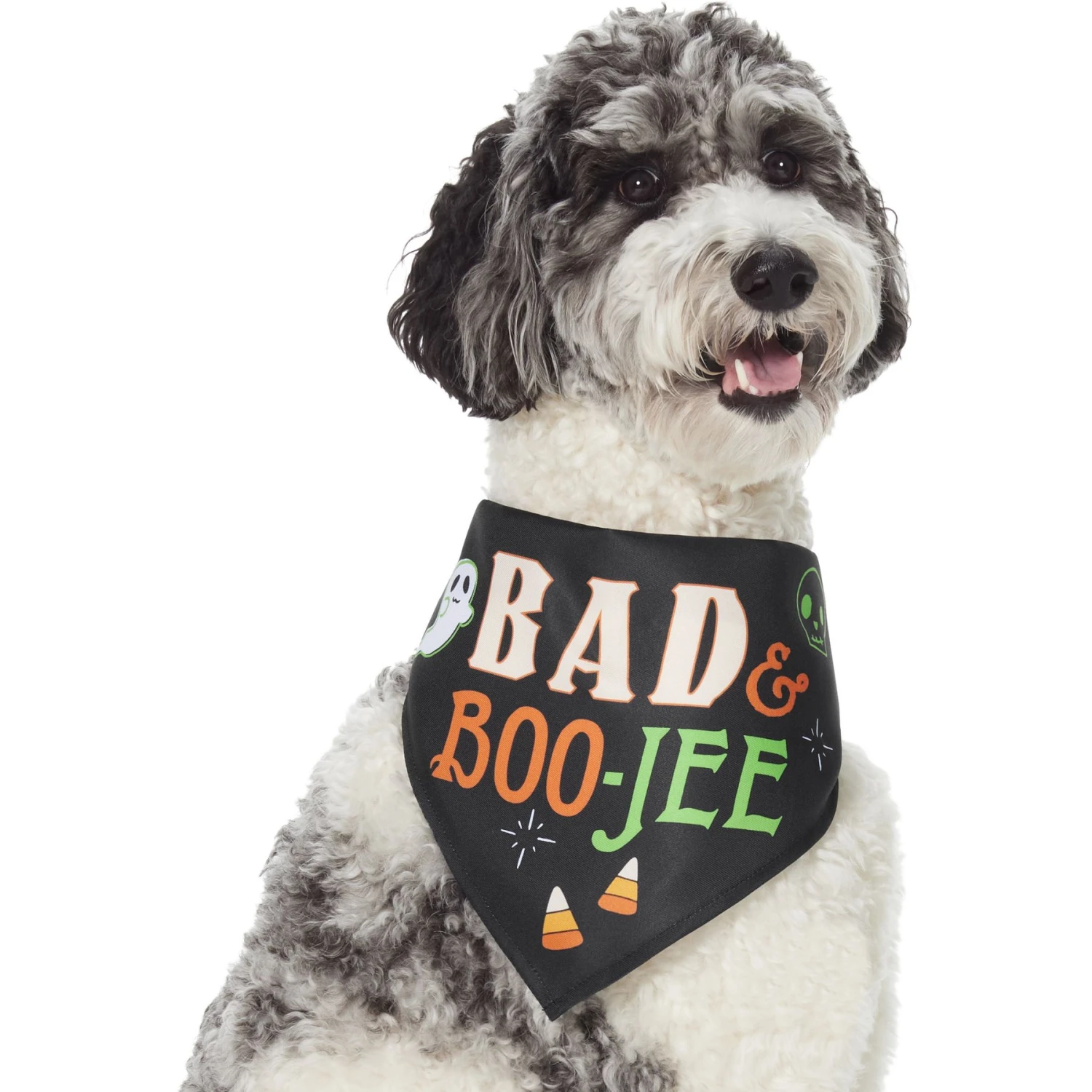 Frisco Bad & Boo-Jee Dog & Cat Costume Bandana 1 Frisco Bad & Boo-Jee Dog & Cat Costume Bandana