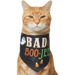 Frisco Bad & Boo-Jee Dog & Cat Costume Bandana 10 Frisco Bad & Boo-Jee Dog & Cat Costume Bandana -Frisco 334807 PT2. AC SS1800 V1659034006