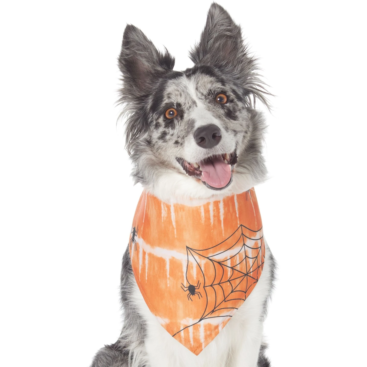 Frisco Orange Spiderweb Dog & Cat Costume Bandana 1 Frisco Orange Spiderweb Dog & Cat Costume Bandana