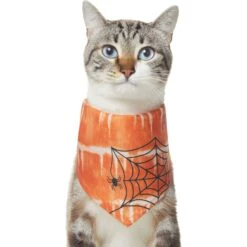 Frisco Orange Spiderweb Dog & Cat Costume Bandana 10 Frisco Orange Spiderweb Dog & Cat Costume Bandana -Frisco 335046 PT2. AC SS1800 V1658716498
