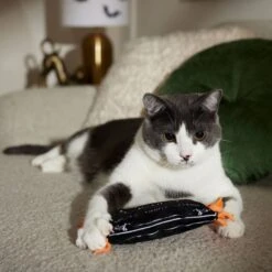 Frisco Halloween A-Paw-Thecary Kicker Plush Cat Toy With Catnip 6 Frisco Halloween A-Paw-Thecary Kicker Plush Cat Toy With Catnip -Frisco 344000 PT3. AC SS1800 V1657657029