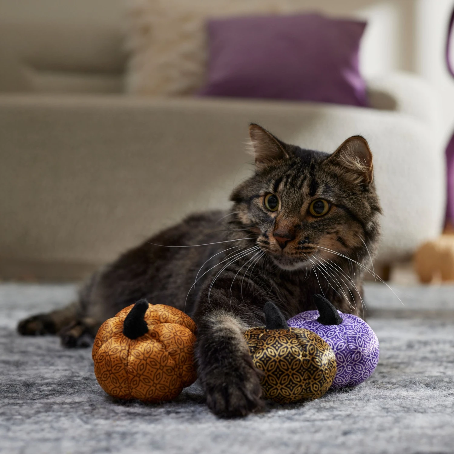 Frisco Halloween Bougie Pumpkins Plush Cat Toy With Catnip 3 Frisco Halloween Bougie Pumpkins Plush Cat Toy With Catnip - Image 3