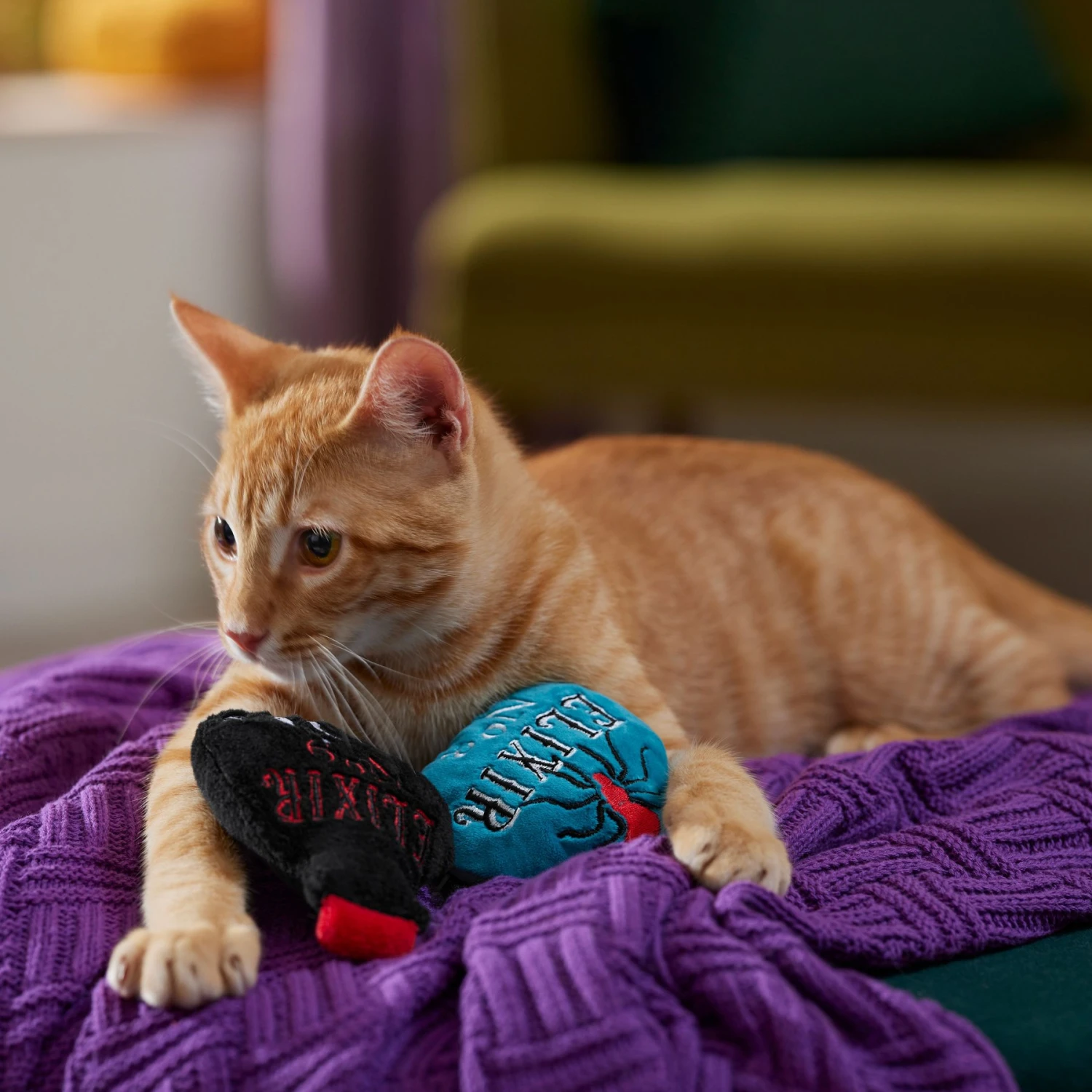 Frisco Halloween Elixirs Plush Cat Toy With Catnip 3 Frisco Halloween Elixirs Plush Cat Toy With Catnip - Image 3