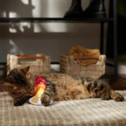 Frisco Fall Campfire Plush Cat Toy With Catnip 6 Frisco Fall Campfire Plush Cat Toy With Catnip -Frisco 344178 PT3. AC SS1800 V1659023182