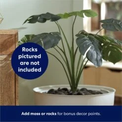 Frisco Hidden Planter Cat Litter Box, 16-in 10 Frisco Hidden Planter Cat Litter Box, 16-in -Frisco 345566 PT4. AC SS1800 V1668737273