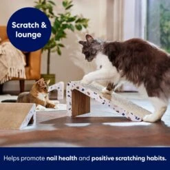 Frisco Nesting Cat Scratcher Toy With Catnip, Modern Terrazzo 6 Frisco Nesting Cat Scratcher Toy With Catnip, Modern Terrazzo -Frisco 347213 PT3. AC SS1800 V1659699272