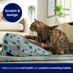 Frisco Nesting Cat Scratcher Toy With Catnip, Tropical Paradise 6 Frisco Nesting Cat Scratcher Toy With Catnip, Tropical Paradise -Frisco 347215 PT3. AC SS1800 V1659699261