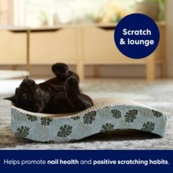 Frisco Wave Cat Scratcher Toy With Catnip, Tropical Paradise 6 Frisco Wave Cat Scratcher Toy With Catnip, Tropical Paradise -Frisco 347221 PT3. AC SS1800 V1659699263