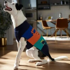 Frisco Anaconda Cheetah Colorblock Dog & Cat Sweater -Frisco 353596 PT7. AC SS1800 V1660749560
