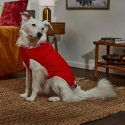 Frisco Plaid Cable Knit Dog & Cat Sweater 12 Frisco Plaid Cable Knit Dog & Cat Sweater -Frisco 353611 PT7. AC SS1800 V1660749926