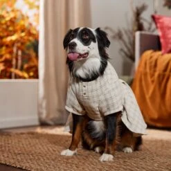 Frisco Tweed Weave Ruffle Skirt Dog & Cat Dress 12 Frisco Tweed Weave Ruffle Skirt Dog & Cat Dress -Frisco 353649 PT6. AC SS1800 V1660750168