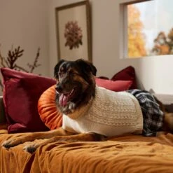 Frisco Plaid Dog & Cat Sweater Dress 12 Frisco Plaid Dog & Cat Sweater Dress -Frisco 353673 PT7. AC SS1800 V1660750173