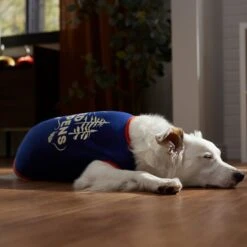 Frisco Shed Happens Dog & Cat T-Shirt 12 Frisco Shed Happens Dog & Cat T-Shirt -Frisco 353698 PT7. AC SS1800 V1660749629