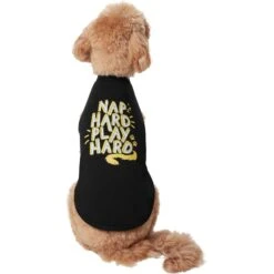 Frisco Nap Hard Play Hard Dog & Cat T-Shirt 9 Frisco Nap Hard Play Hard Dog & Cat T-Shirt -Frisco 353713 PT2. AC SS1800 V1659010872