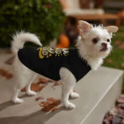 Frisco Nap Hard Play Hard Dog & Cat T-Shirt 12 Frisco Nap Hard Play Hard Dog & Cat T-Shirt -Frisco 353713 PT7. AC SS1800 V1660750172