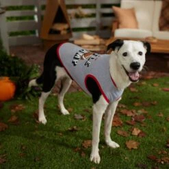 Frisco Little Champ Dog & Cat T-Shirt 12 Frisco Little Champ Dog & Cat T-Shirt -Frisco 353722 PT7. AC SS1800 V1660749632