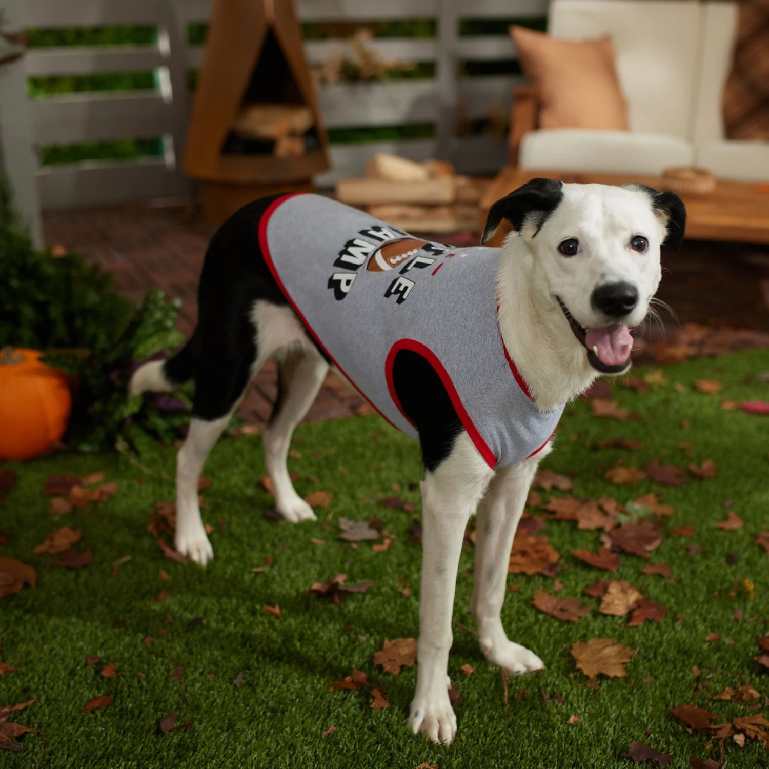 Frisco Little Champ Dog & Cat T-Shirt 6 Frisco Little Champ Dog & Cat T-Shirt - Image 6