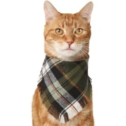 Frisco Plaid Fringe Dog & Cat Bandana