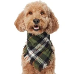 Frisco Plaid Fringe Dog & Cat Bandana 10 Frisco Plaid Fringe Dog & Cat Bandana -Frisco 353769 PT2. AC SS1800 V1659010812