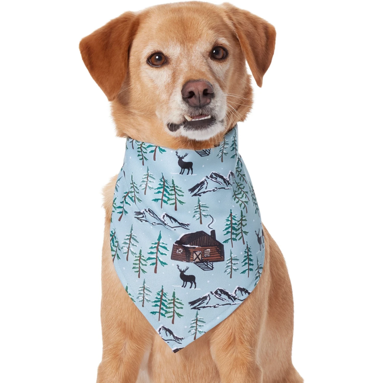 Frisco Moose Lodge Dog & Cat Bandana 3 Frisco Moose Lodge Dog & Cat Bandana - Image 3