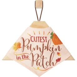 Frisco Cutest Pumpkin In The Patch Dog & Cat Bandana 12 Frisco Cutest Pumpkin In The Patch Dog & Cat Bandana -Frisco 353777 PT4. AC SS1800 V1663343389