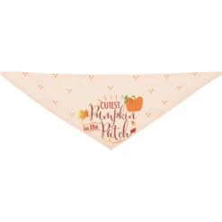 Frisco Cutest Pumpkin In The Patch Dog & Cat Bandana 13 Frisco Cutest Pumpkin In The Patch Dog & Cat Bandana -Frisco 353777 PT5. AC SS1800 V1659725687