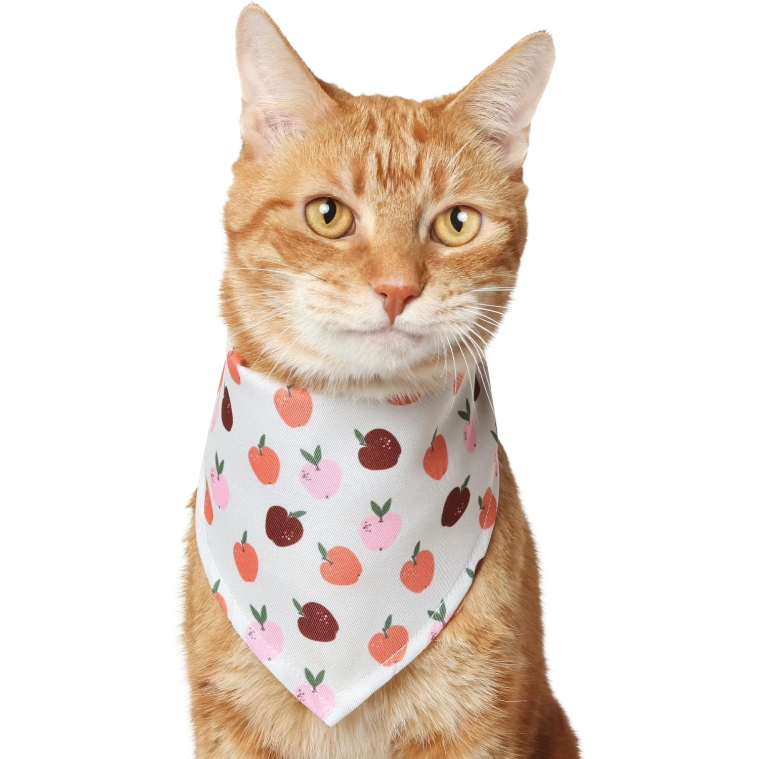Frisco Apple Dog & Cat Bandana 1 Frisco Apple Dog & Cat Bandana