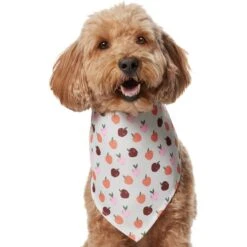 Frisco Apple Dog & Cat Bandana 10 Frisco Apple Dog & Cat Bandana -Frisco 353786 PT2. AC SS1800 V1661275129