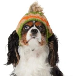 Frisco Striped Poof Dog & Cat Knitted Hat 8 Frisco Striped Poof Dog & Cat Knitted Hat -Frisco 353793 PT2. AC SS1800 V1659008241