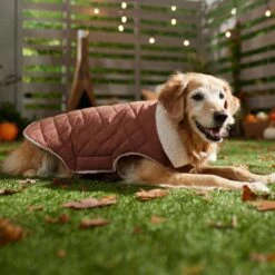 Frisco Mid-Heavyweight Fleece Lined Quilted Dog & Cat Coat -Frisco 353877 PT7. AC SS1800 V1660750171