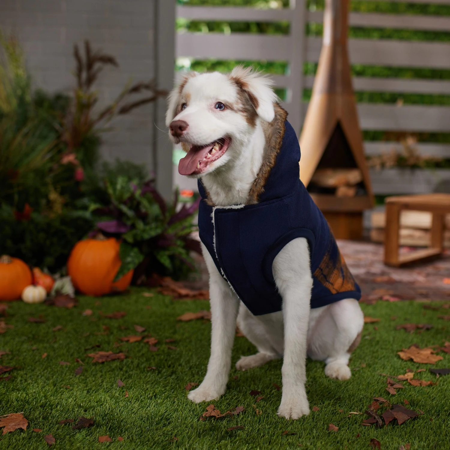 Frisco Mid-Heavyweight Plaid Fleece Lined Dog & Cat Coat 6 Frisco Mid-Heavyweight Plaid Fleece Lined Dog & Cat Coat - Image 6