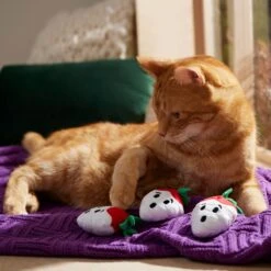Frisco Halloween Ghost Strawberries Plush Cat Toy With Catnip, 3 Count 6 Frisco Halloween Ghost Strawberries Plush Cat Toy With Catnip, 3 Count -Frisco 354127 PT3. AC SS1800 V1657657123
