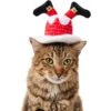 Frisco Down The Chimney Dog & Cat Headpiece