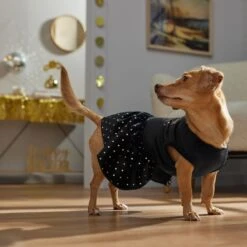 Frisco Kiss Me At Midnight Dog & Cat Dress 12 Frisco Kiss Me At Midnight Dog & Cat Dress -Frisco 358044 PT7. AC SS1800 V1661799831