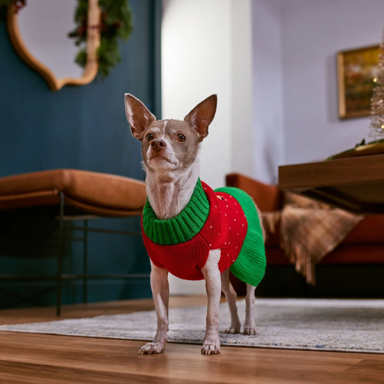 Frisco Penguin Dog & Cat Sweater Dress 7 Frisco Penguin Dog & Cat Sweater Dress - Image 7