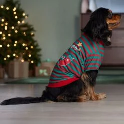 Frisco Naughty, Nice, I Tried Dog & Cat T-Shirt 12 Frisco Naughty, Nice, I Tried Dog & Cat T-Shirt -Frisco 358301 PT7. AC SS1800 V1661797473