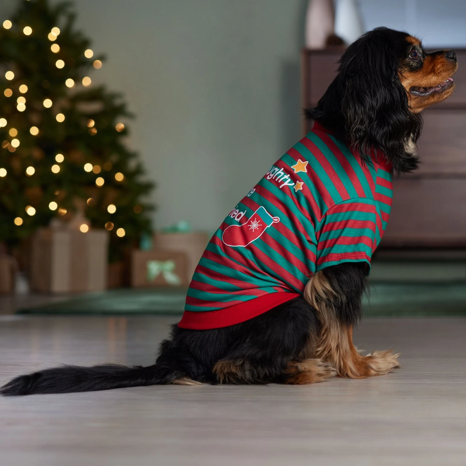 Frisco Naughty, Nice, I Tried Dog & Cat T-Shirt 6 Frisco Naughty, Nice, I Tried Dog & Cat T-Shirt - Image 6