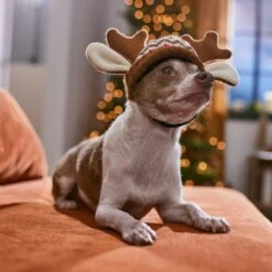 Frisco Antler Fair Isle Dog & Cat Hat 10 Frisco Antler Fair Isle Dog & Cat Hat -Frisco 358313 PT4. AC SS1800 V1661798696