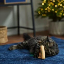 Frisco Holiday Santa's List Plush & Feather Cat Toy With Catnip 6 Frisco Holiday Santa's List Plush & Feather Cat Toy With Catnip -Frisco 360895 PT3. AC SS1800 V1661874361