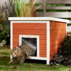 Frisco 21 Frisco Outdoor Wooden Cat House With Retractable Roof