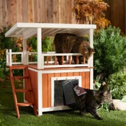 Frisco 25 Frisco Outdoor Wooden Cat House With Balcony & Step Ladder