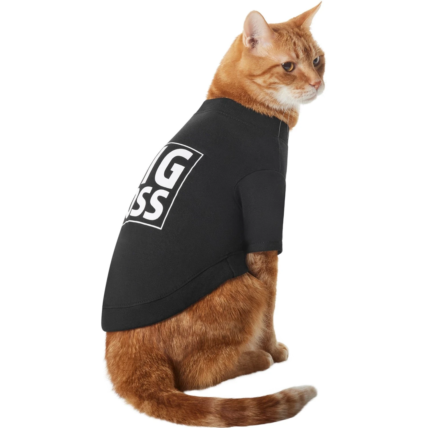 Frisco Big Boss Dog & Cat T-Shirt 3 Frisco Big Boss Dog & Cat T-Shirt - Image 3