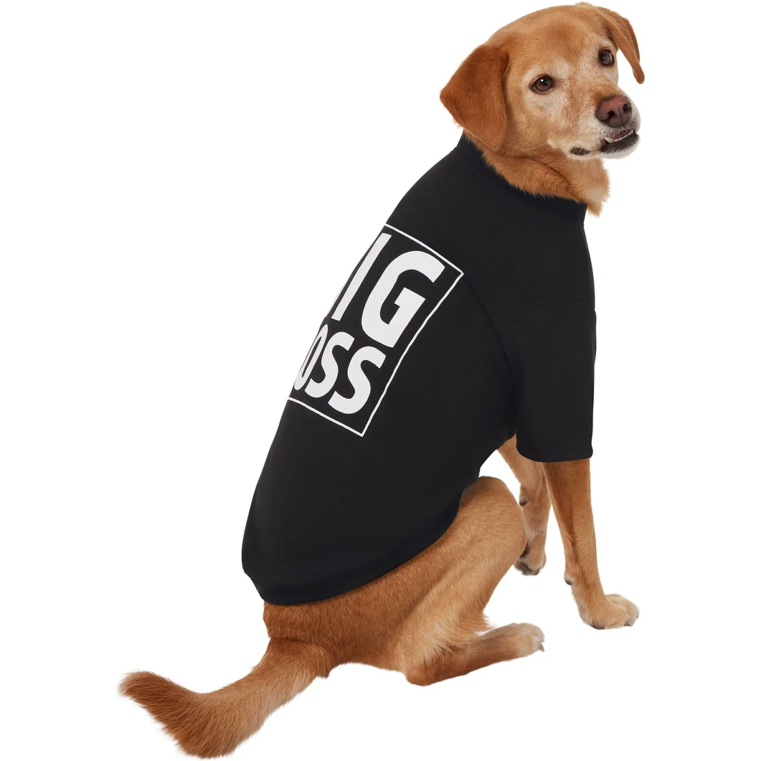 Frisco Big Boss Dog & Cat T-Shirt 4 Frisco Big Boss Dog & Cat T-Shirt - Image 4