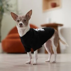 Frisco Big Boss Dog & Cat T-Shirt 12 Frisco Big Boss Dog & Cat T-Shirt -Frisco 368782 PT7. AC SS1800 V1664992675