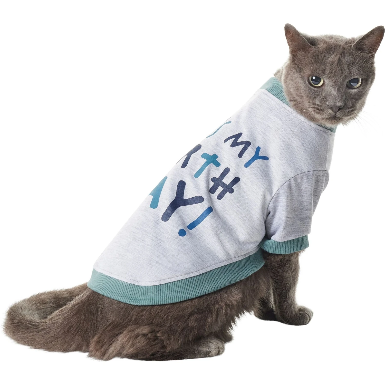 Frisco It's My Birth Day Dog & Cat T-Shirt 3 Frisco It's My Birth Day Dog & Cat T-Shirt - Image 3