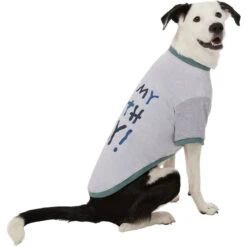 Frisco It's My Birth Day Dog & Cat T-Shirt 10 Frisco It's My Birth Day Dog & Cat T-Shirt -Frisco 368808 PT4. AC SS1800 V1669101517