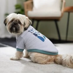 Frisco It's My Birth Day Dog & Cat T-Shirt 12 Frisco It's My Birth Day Dog & Cat T-Shirt -Frisco 368808 PT7. AC SS1800 V1664992107